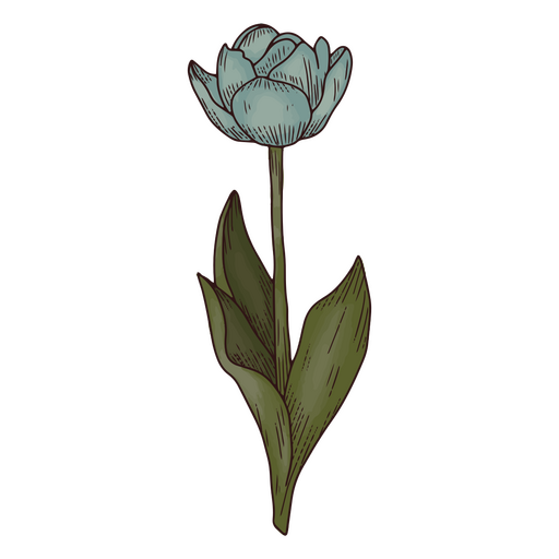 Icono de naturaleza floral de tulipán Diseño PNG