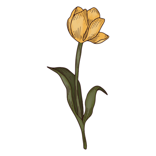 Tulipa ícone da natureza Desenho PNG