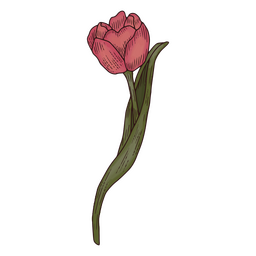 ícone de flor de natureza tulipa Desenho PNG