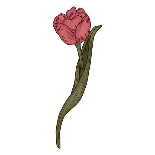 Icono de flor de naturaleza de tulipán Diseño PNG