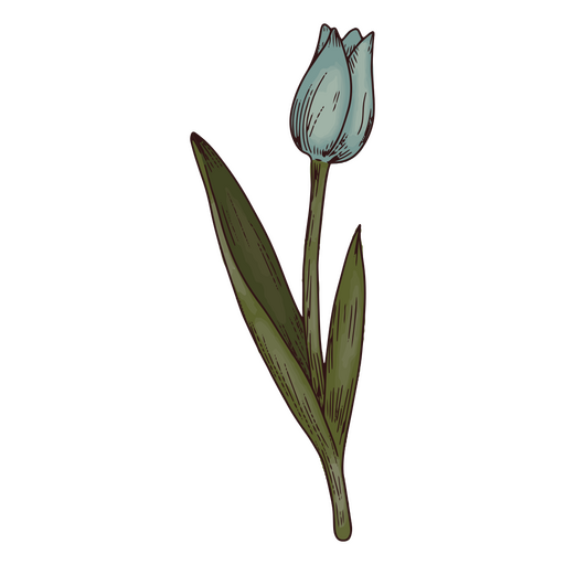 Blumen-Tulpen-Symbol PNG-Design