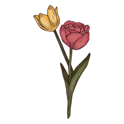 Icono de naturaleza de tulipanes Diseño PNG