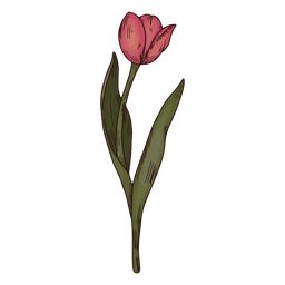 Icono de naturaleza de hoja de flor de tulipán Diseño PNG