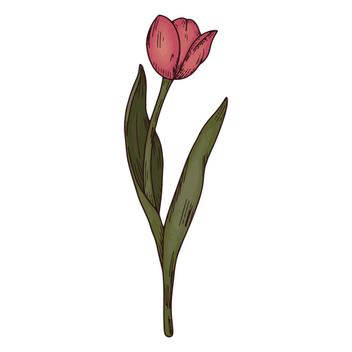 Icono de naturaleza de hoja de flor de tulipán Diseño PNG