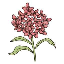 Icono de flor de la vendimia Diseño PNG