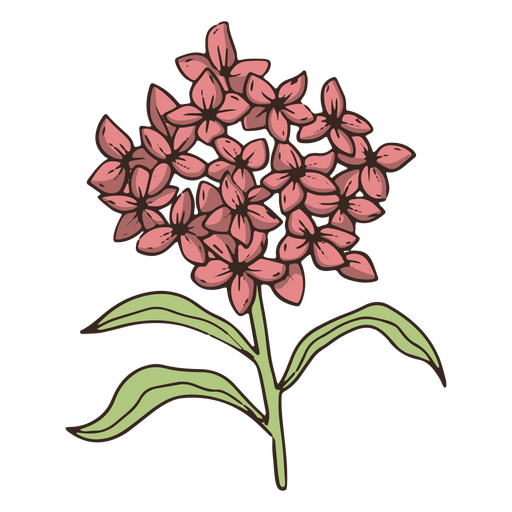 Vintage-Blumen-Symbol PNG-Design