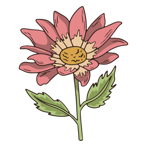 Vintage flower petals icon PNG Design