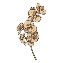 Icono de flores de orquídeas vintage Diseño PNG