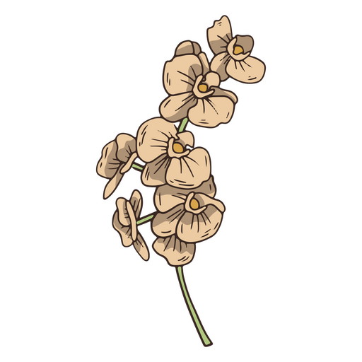 Icono de flores de orquídeas vintage Diseño PNG