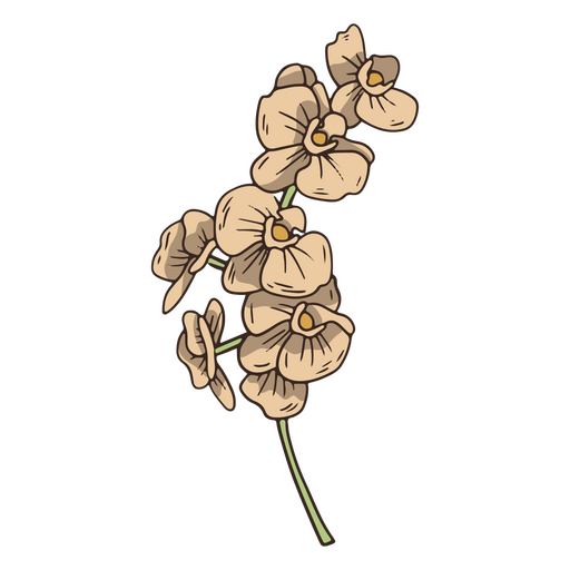 Vintage-Orchideenblumen-Symbol PNG-Design