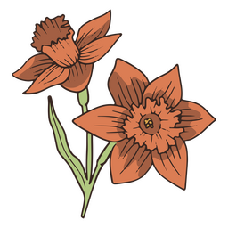 Icono de flor de narciso vintage Diseño PNG
