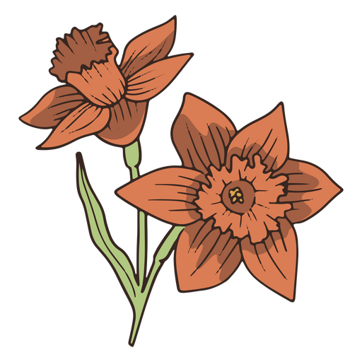 Ícone de flor de narciso vintage Desenho PNG