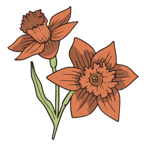 Vintage daffodil flower icon PNG Design