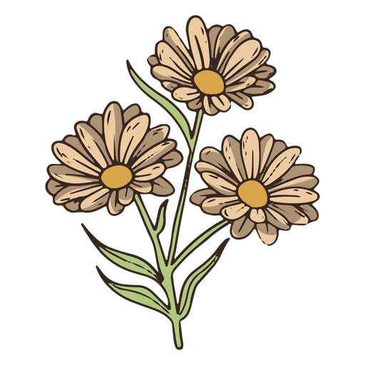 Vintage daisy flowers icon PNG Design