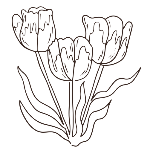 Vintage tulip flowers stroke icon PNG Design