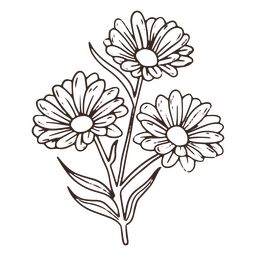 Icono de trazo de flores de margarita vintage Diseño PNG Transparent PNG