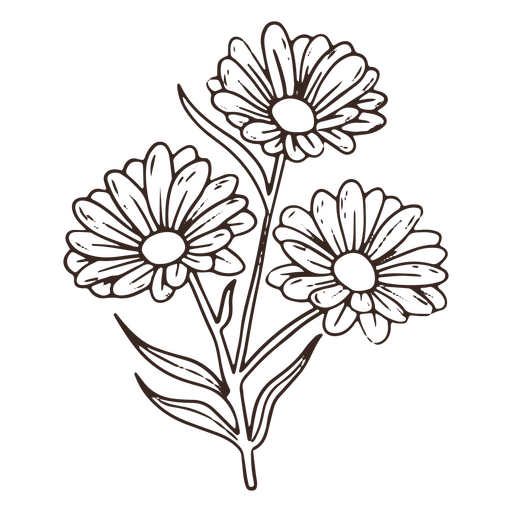 ícone de traçado de flores margaridas vintage Desenho PNG