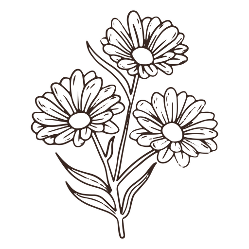 Vintage Gänseblümchen-Blumen-Strich-Symbol PNG-Design