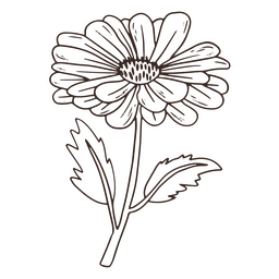 Icono de trazo de flor hermosa vintage Diseño PNG