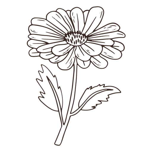 Ícone de traçado de flor linda vintage Desenho PNG