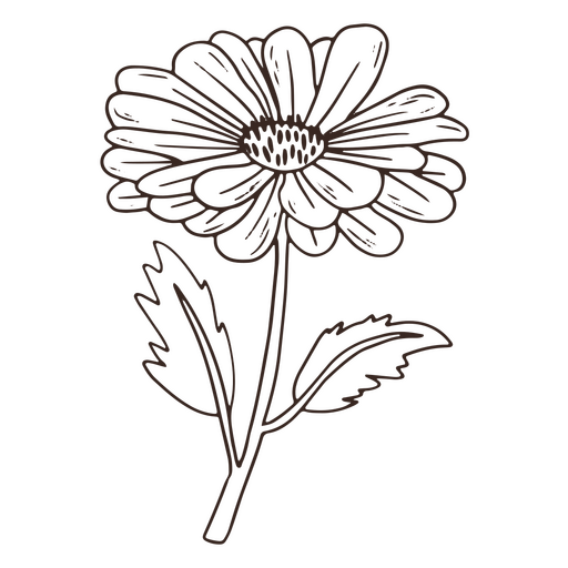 Vintage beautiful flower stroke icon PNG Design