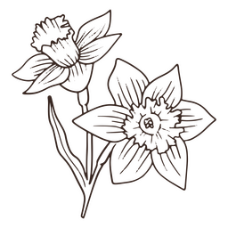 Icono de trazo de flor de narciso vintage Diseño PNG Transparent PNG