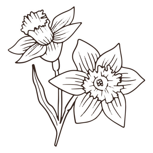 Ícone de traço de flor de narciso vintage Desenho PNG