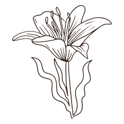 Icono de trazo de flor delicada vintage Diseño PNG