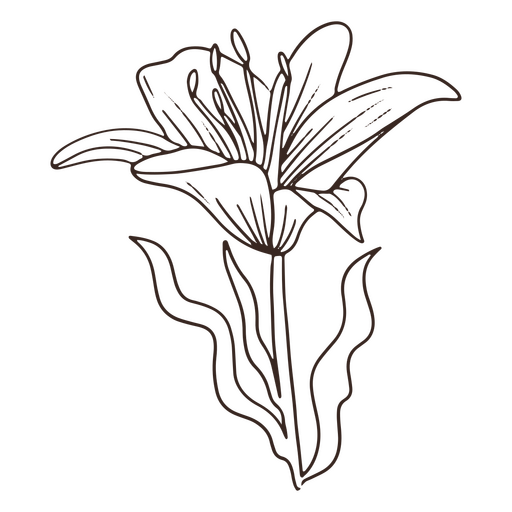 Ícone de traço de flor delicada vintage Desenho PNG