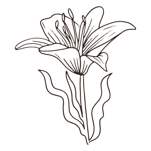 Icono de trazo de flor delicada vintage Diseño PNG