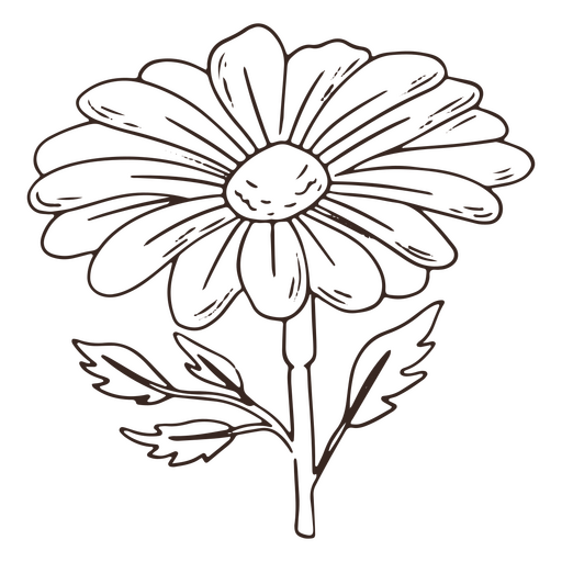 Vintage flower nature stroke icon PNG Design