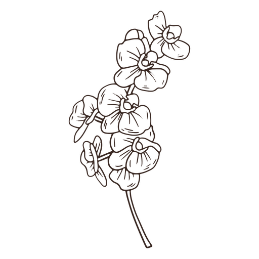 Vintage-Orchideen-Blumen-Strich-Symbol PNG-Design