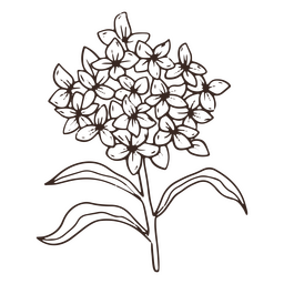Icono de trazo de naturaleza de pétalos de flores vintage Diseño PNG Transparent PNG