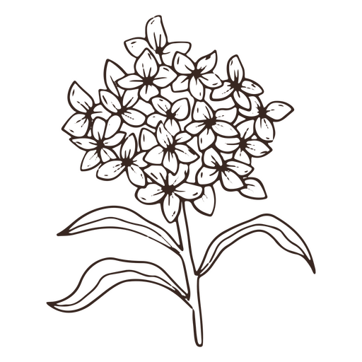 Ícone de curso de natureza de pétalas de flores vintage Desenho PNG