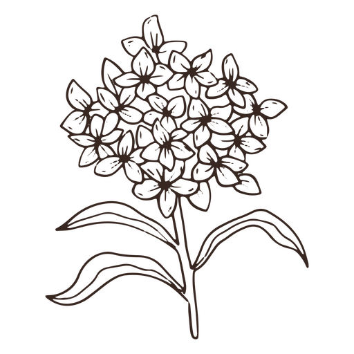 Vintage flower petals nature stroke icon PNG Design