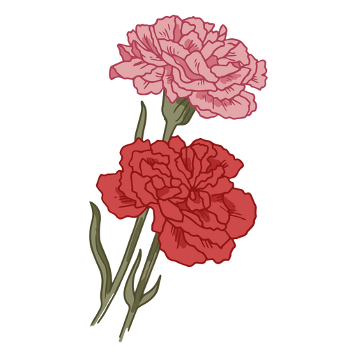 ícone de flores de cravo Desenho PNG