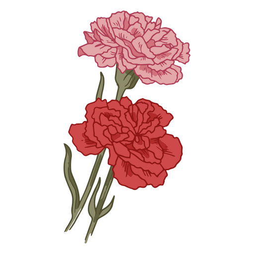 Icono de flores de clavel Diseño PNG