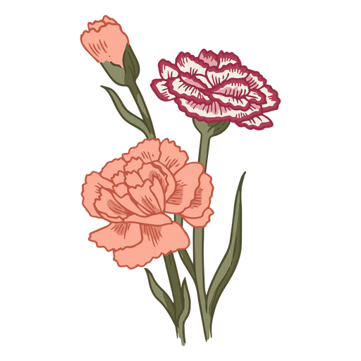 Clavel flores naturaleza icono Diseño PNG