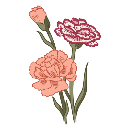 O cravo floresce o ícone da natureza Desenho PNG