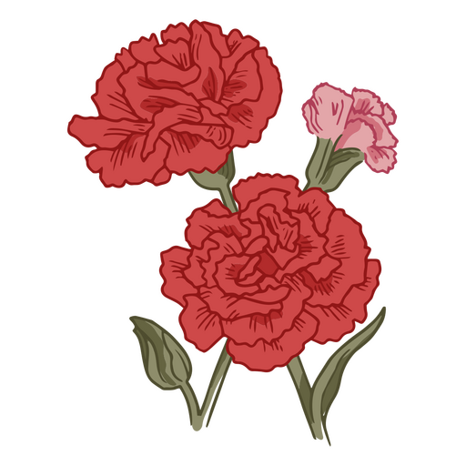 Carnation red flowers nature icon PNG Design