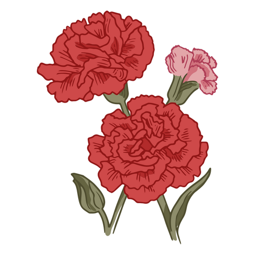 Cravo flores vermelhas ícone da natureza Desenho PNG