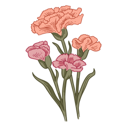 Nelke zarte Blumen Natur-Symbol PNG-Design