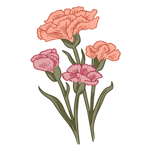 Clavel delicadas flores naturaleza icono Diseño PNG