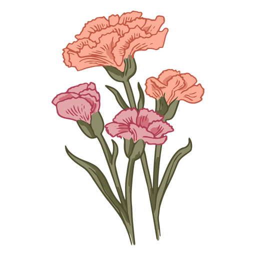 Cravo flores delicadas ícone da natureza Desenho PNG