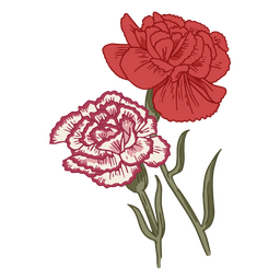 Icono de flores delicadas de clavel Diseño PNG Transparent PNG