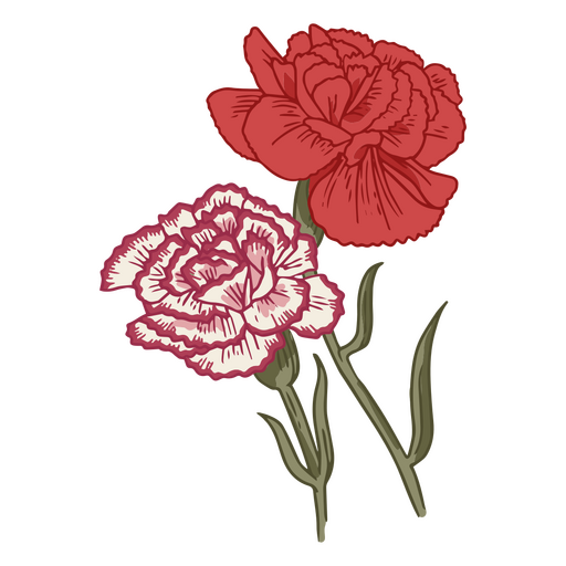 Carnation delicate flowers icon PNG Design