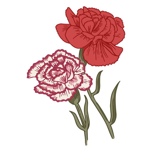 Icono de flores delicadas de clavel Diseño PNG