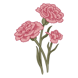 Flores de cravo lindo ícone Desenho PNG