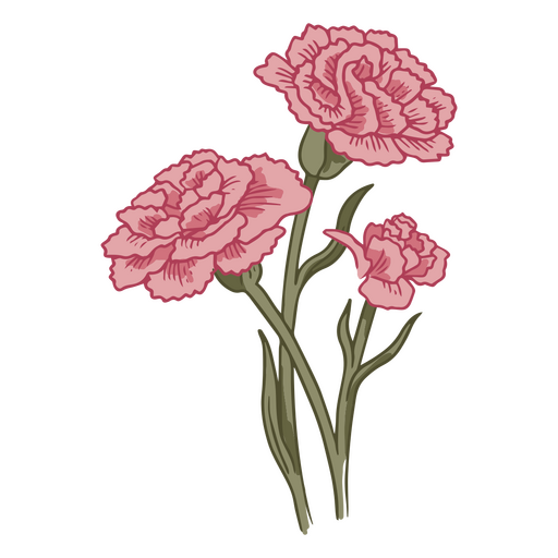 Carnation flowers beautiful icon PNG Design
