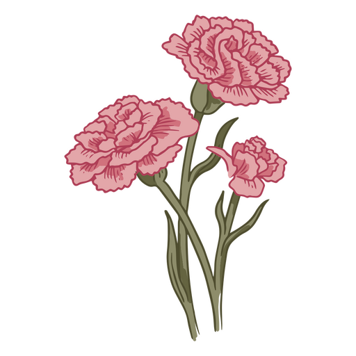 Flores de cravo lindo ícone Desenho PNG